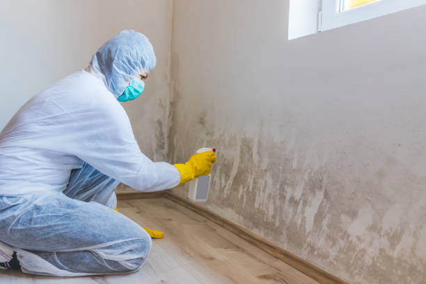 Licensed Attic Mold Remediation service in Bethesda, MD - Car Mold Remediation