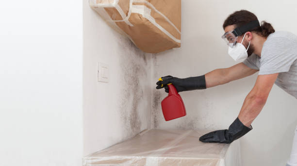 Professional Attic Mold Remediation technician working in Bethesda, MD