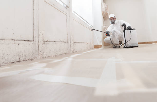 24/7 Emergency Attic Mold Remediation experts in Bethesda, MD