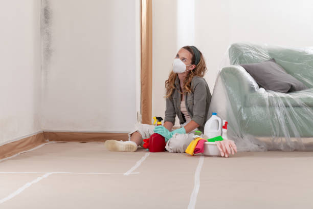 Reliable Attic Mold Remediation contractor in Bethesda, MD by Car Mold Remediation